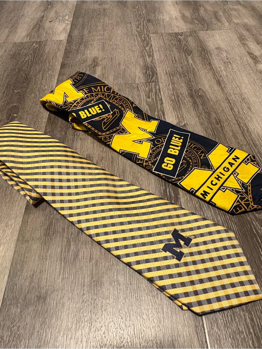 Vintage Eagles Wings & Silk RM Sport Michigan Wolverines Ties Lot of 2 - Picture 3 of 8